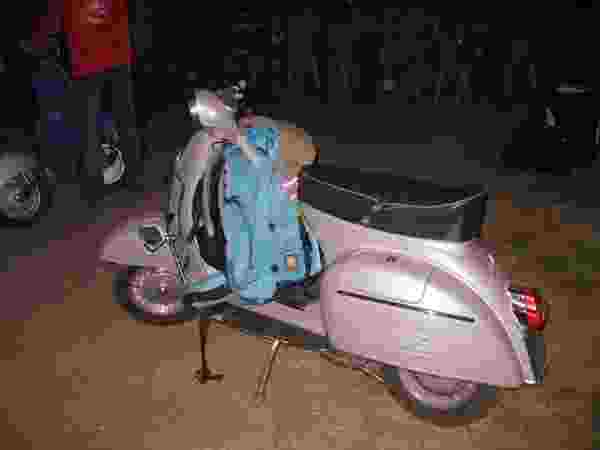 Voir l'image Vespa_muguet_Riquets_109.jpg en taille relle