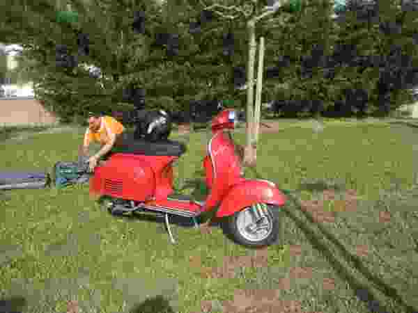 Voir l'image IMG_1152.jpg en taille relle