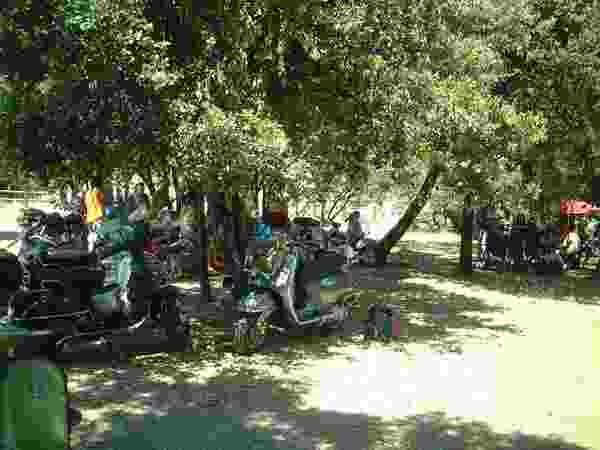 Voir l'image vespa_muguet_nico001.jpg en taille relle
