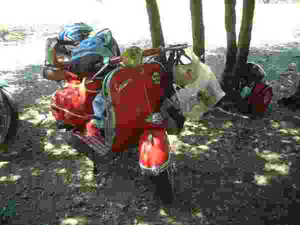 Voir l'image vespa_muguet_nico005.jpg en taille relle